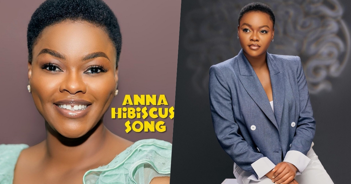 Kehinde Bankole Stars in Anna Hibiscus song