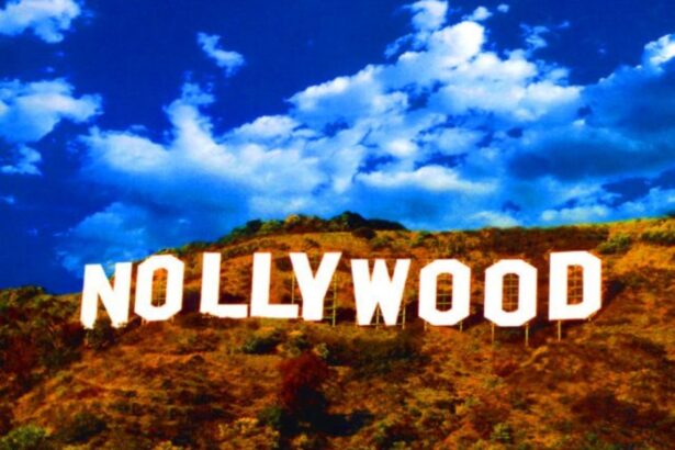 Can Nollywood Build a Global Fan Culture Like K-Drama, Bollywood, or Hollywood? 64 Can Nollywood Build a Global Fan Culture Like K Drama