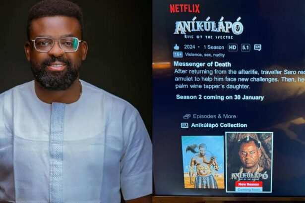 Anikulapo coming to Netflix