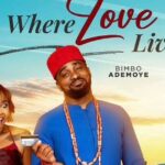 Review: Where Love Lives (2025) – Bimbo Ademoye's Bold Genre-Bender That Thrives Beyond the Drama 4 Where love lives