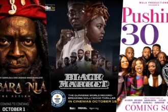 New Nollywood Movies To Watch This October 2026 27 New Nollywood Movies to Watch This October 2026